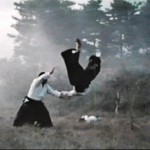 Geweldige week met heel veel Aikido!